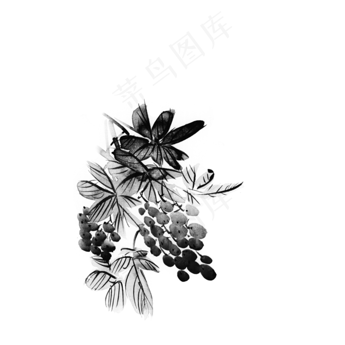 中国风水墨葡萄png(2000X2000(DPI:300))psd模版下载