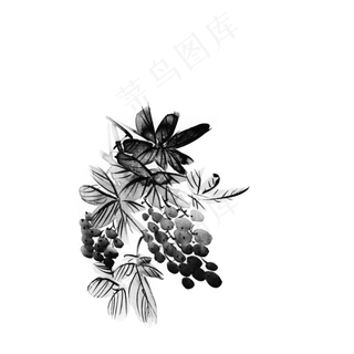 中国风水墨葡萄png