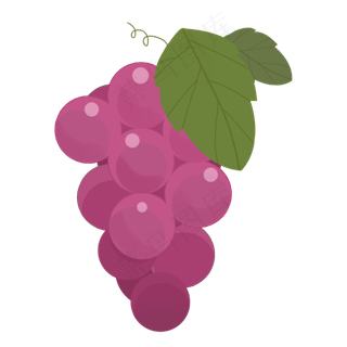 葡萄绿色维生素叶子紫色