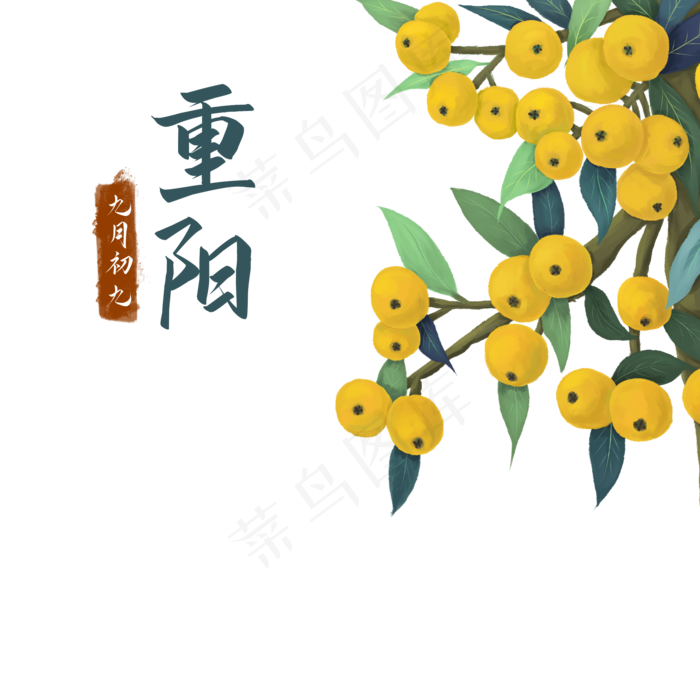 重阳节枇杷水果,免抠元素(2000*2000px 300 dpi )psd模版下载