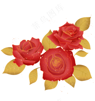 红色花玫瑰花金叶