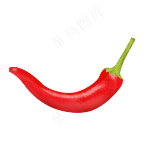 红色手绘写实食用辣椒psd透明底