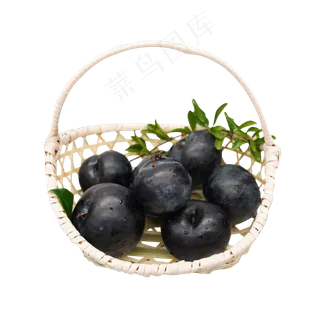 水果李子维生素