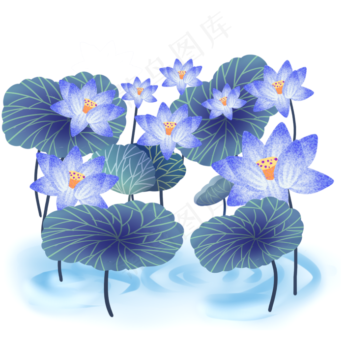 鲜艳荷花荷叶群开放(2480X2480(DPI:300))psd模版下载