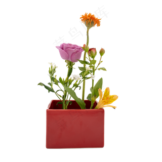 鲜花紫玫瑰插花 鲜花紫玫瑰插花
