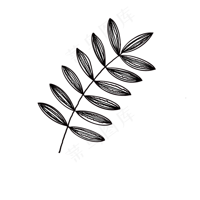 叶子插图装饰免抠(2000X2000(DPI:132))psd模版下载