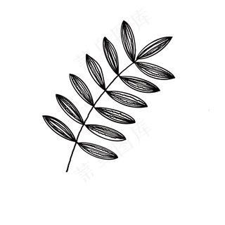 叶子插图装饰免抠