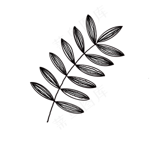 叶子插图装饰免抠