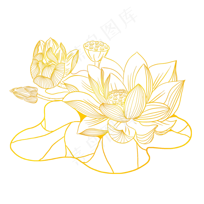 金色花荷花线条素材(2000X2000(DPI:300))psd模版下载