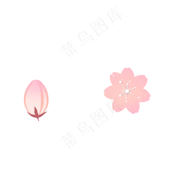桃花花苞