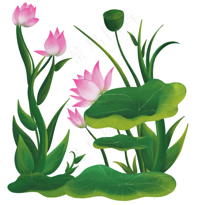 夏季油画风格和花荷叶PNG免抠(2000X2000(DPI:300))psd模版下载