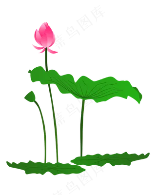 矢量卡通粉色莲花