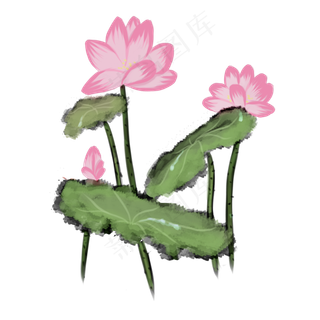 手绘中国风荷花水墨画PNG素材