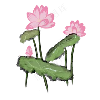 手绘中国风荷花水墨画PNG素材