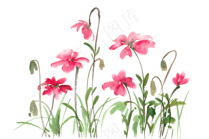 娇艳的小花水彩画PNG免抠素材(7087X4724(DPI:300))psd模版下载