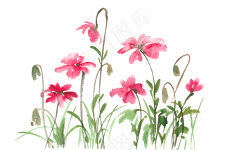 娇艳的小花水彩画PNG免抠素材
