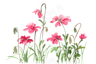 娇艳的小花水彩画PNG免抠素材
