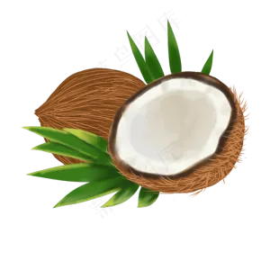 热带水果椰子