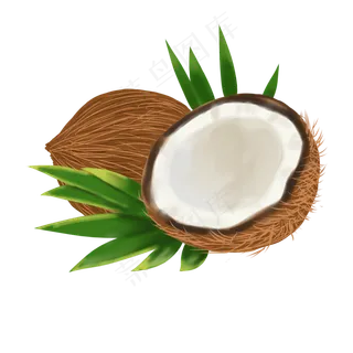 热带水果椰子 热带水果椰子
