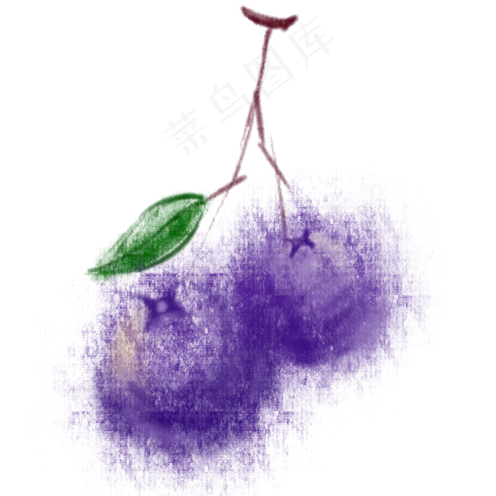 水彩风格蓝莓水果紫色(2000X2000(DPI:299))psd模版下载