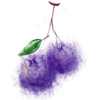 水彩风格蓝莓水果紫色
