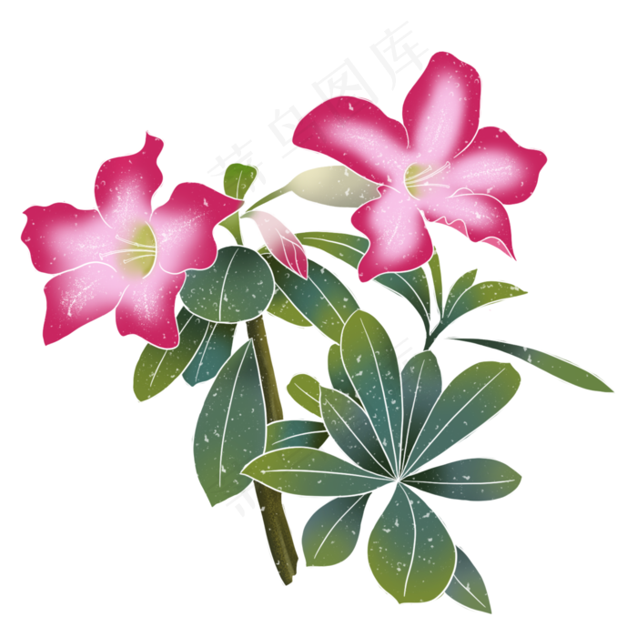 春季水彩植物花朵,免抠元素(2000X2000(DPI:300))psd模版下载