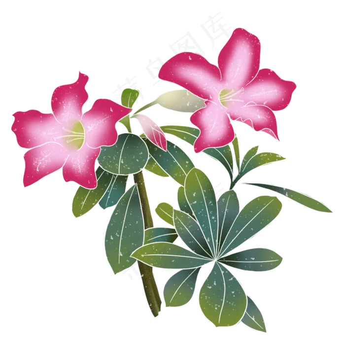 春季水彩植物花朵,免抠元素(2000X2000(DPI:300))psd模版下载