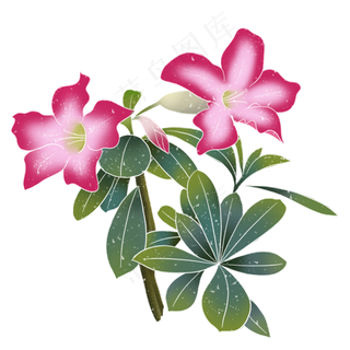 春季水彩植物花朵,免抠元素