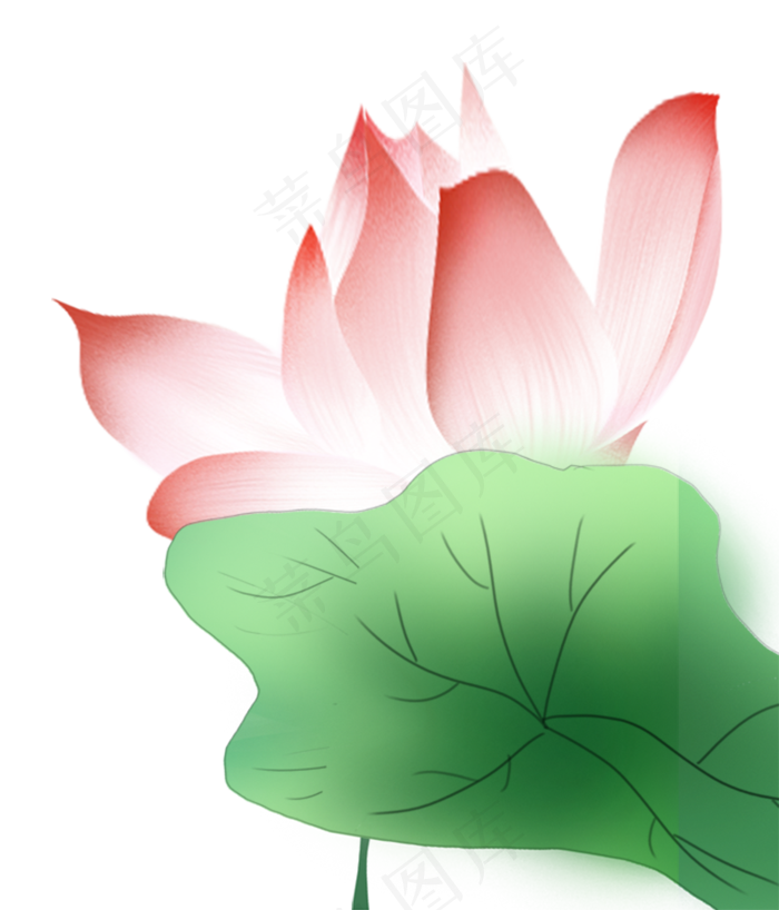 绿叶荷花(800X935(DPI:300))psd模版下载