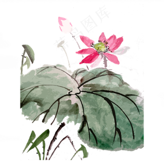 荷花荷叶写意夏水墨国画PNG