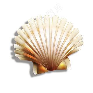 新鲜的海里的贝壳,免抠元素