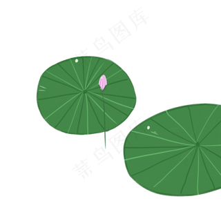 可爱手绘荷花荷叶莲花春夏天