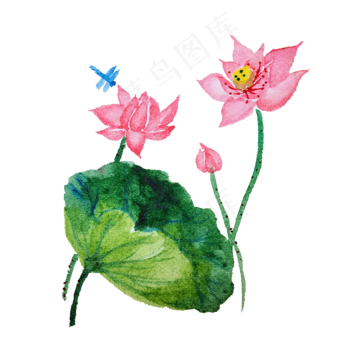 手绘水彩植物荷花(2448X2448(DPI:72))psd模版下载