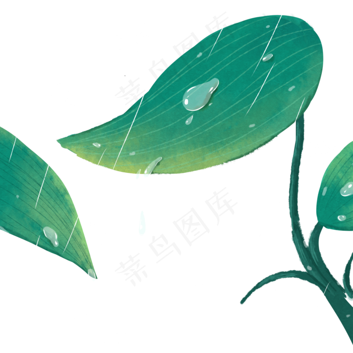绿色植物叶子自然(2000X2000(DPI:300))psd模版下载
