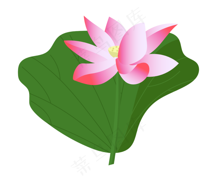 漂亮的粉色荷花插图(3500X2000(DPI:3000))ai矢量模版下载