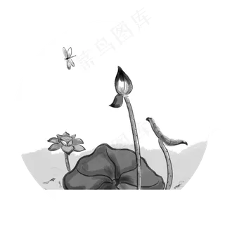 手绘花水墨荷花元素