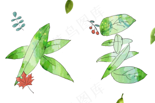 节气大暑绿叶艺术字png