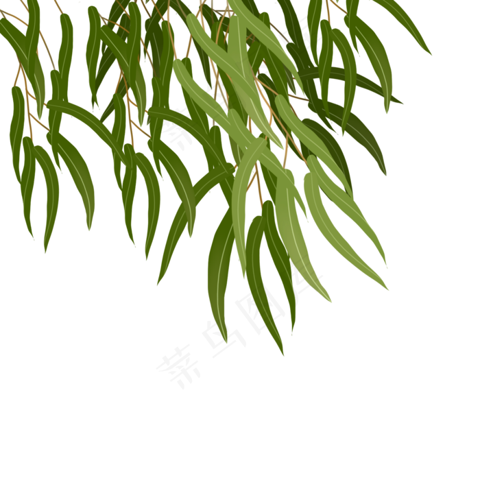 漂浮柳叶png素材