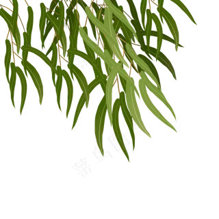 漂浮柳叶png素材