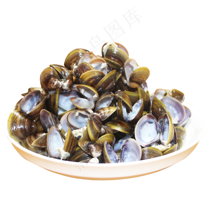 干垃圾厨余垃圾贝壳蚬壳,免抠元素