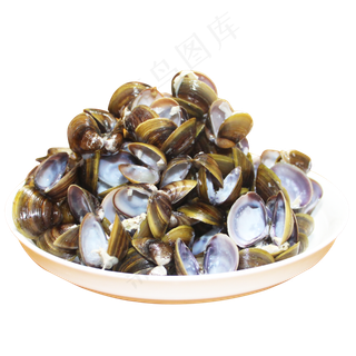 干垃圾厨余垃圾贝壳蚬壳,免抠元素