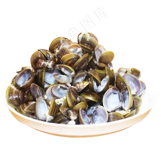 干垃圾厨余垃圾贝壳蚬壳,免抠元素