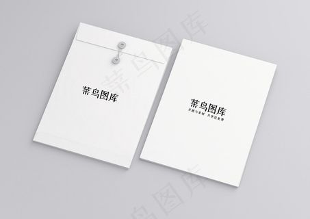 简约vi样机展示模版