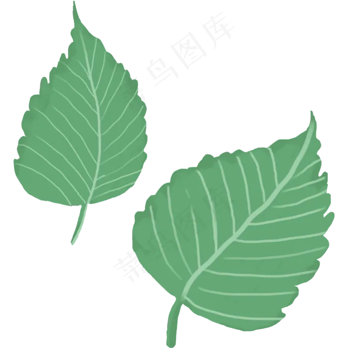 植物绿色涂鸦树叶大片叶子(2000X2000(DPI:300))psd模版下载