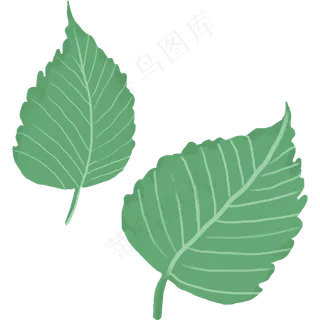 植物绿色涂鸦树叶大片叶子