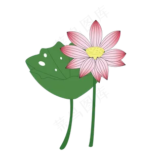 夏天池塘荷花荷叶手绘免抠素材