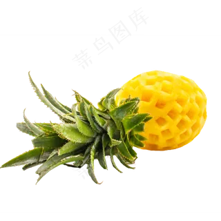 睡着菠萝水果