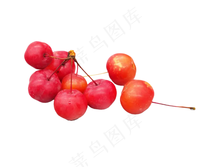 水果海棠果(3800*3000px 300 dpi )