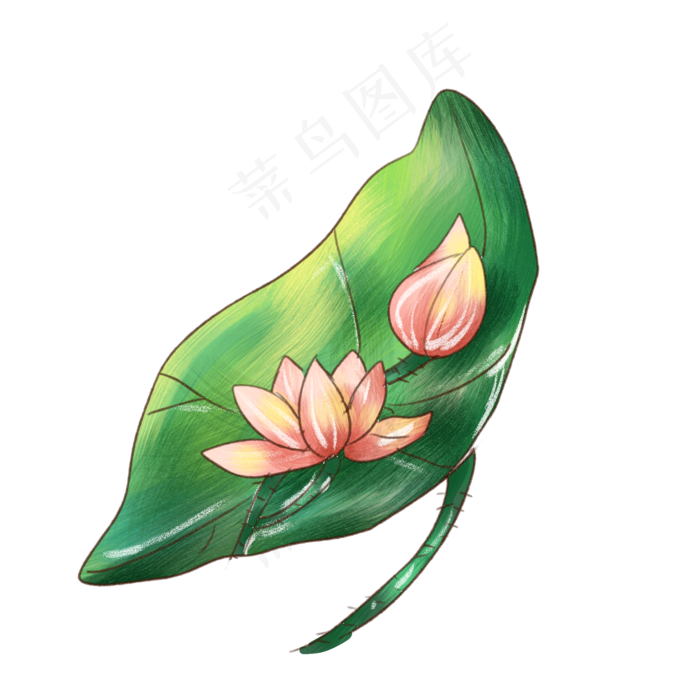 藏娇的荷花卡通插画