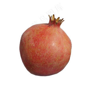 仿真秋冬水果png图